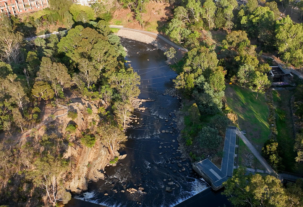 Project_Thumbnail_1024_DightsFalls 1