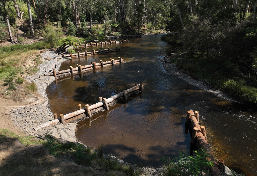 Project_Thumbnail_1024_Warburton 1