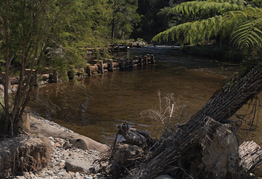 Project_Thumbnail_1024_Warburton 3