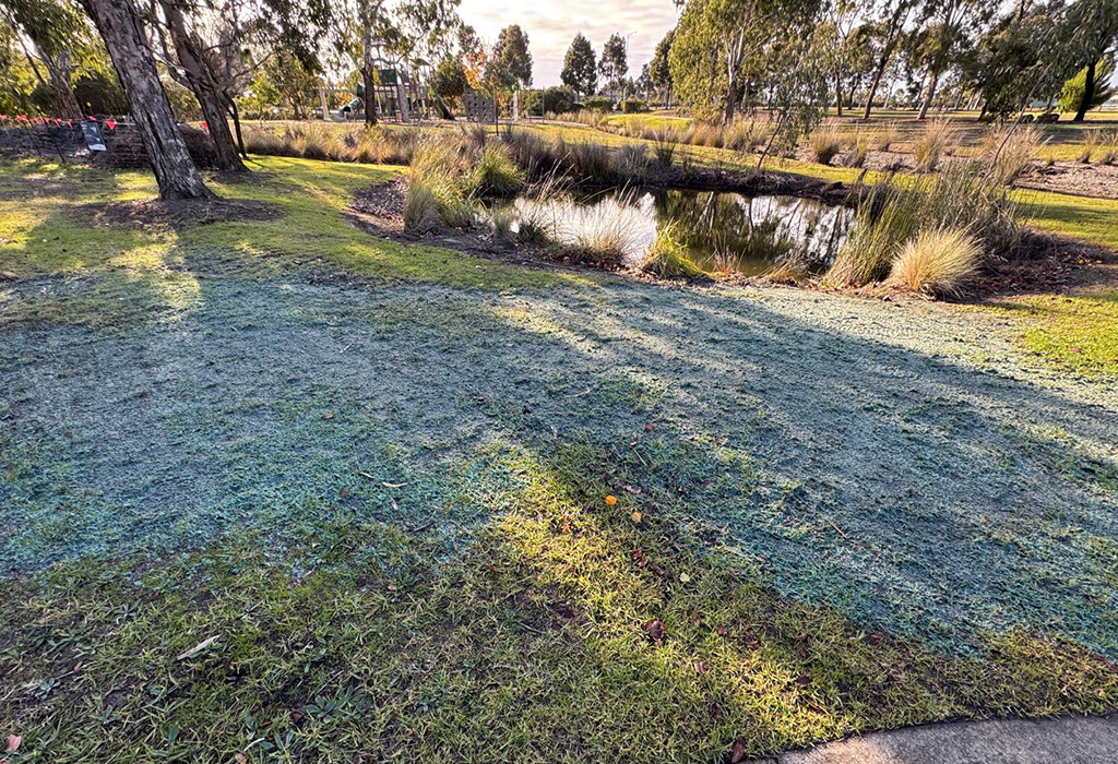 Project_Thumbnail_1024_ParkwoodTce 1