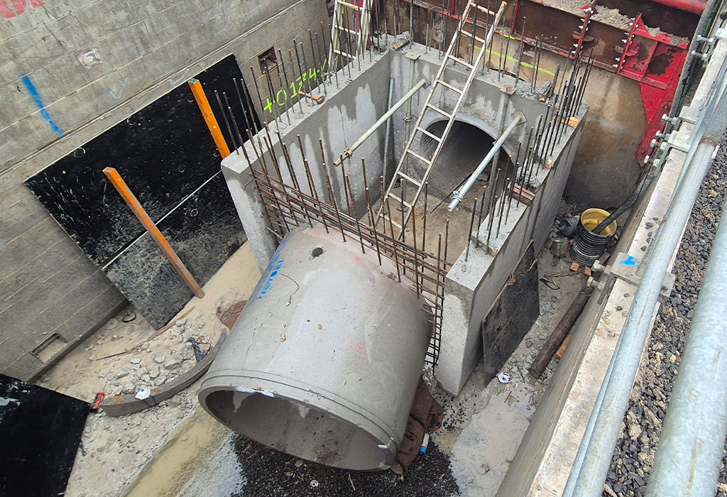 Project_Thumbnail_1024_Donnybrae 2